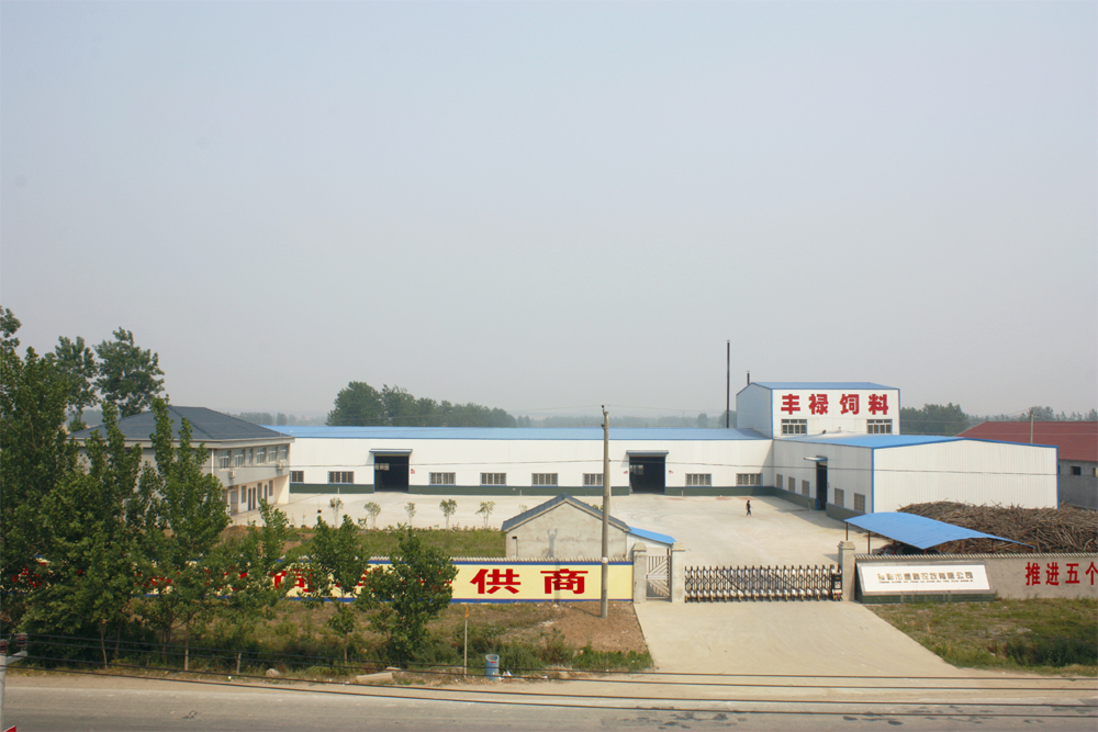 2008 拷贝
